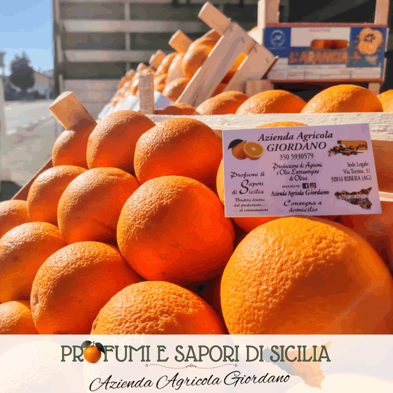 Azienda Agricola Giordano