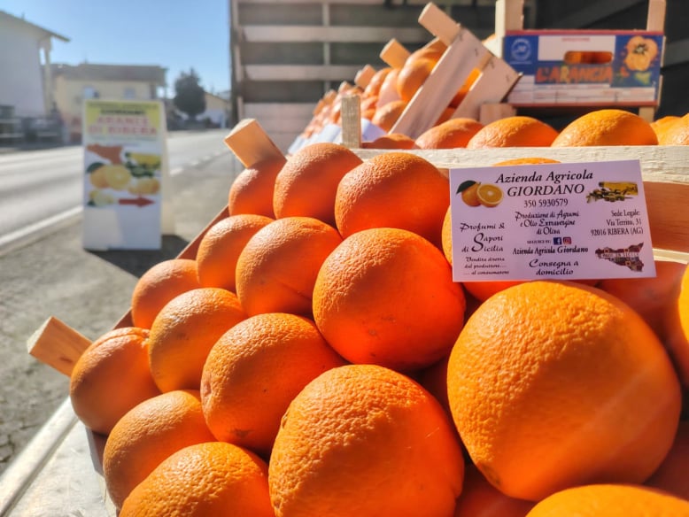 Azienda Agricola Giordano