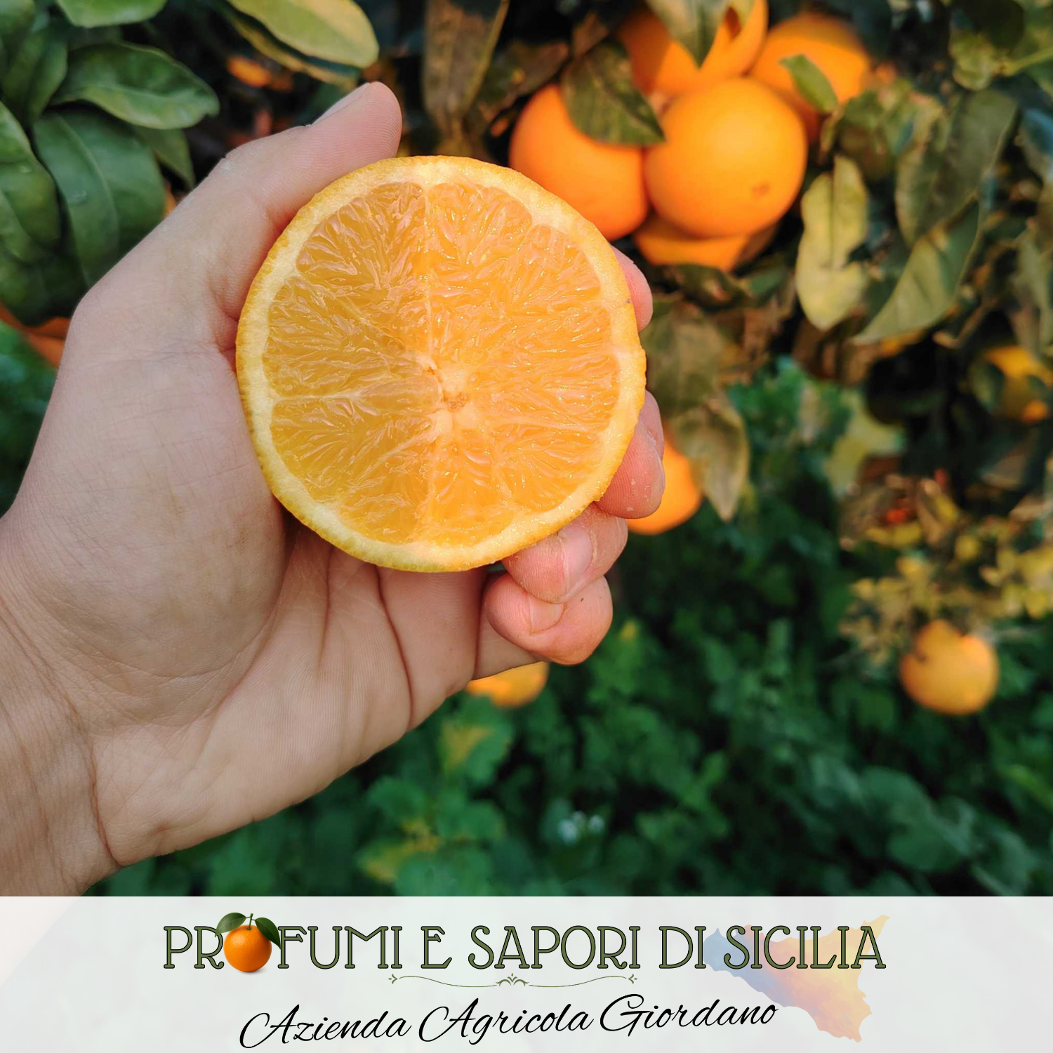 Arance da Spremuta